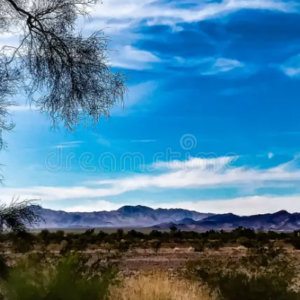 5 Acres in Vidal, California – Great Location & Access, Camping, Mobile Home, Build (San Bernardino County)