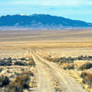 124 Acre Ranch in Antelope Valley, Lovelock, NV – 3 APNs, Exceptional Access, BLM Connectivity
