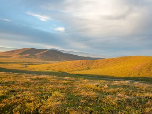 124 Acre Ranch in Antelope Valley, Lovelock, NV – 3 APNs, Exceptional Access, BLM Connectivity