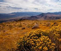 124 Acre Ranch in Antelope Valley, Lovelock, NV – 3 APNs, Exceptional Access, BLM Connectivity