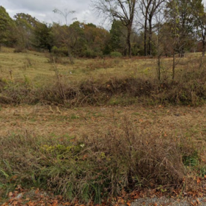 Discover an exceptional residential lot for sale in the charming town of Peel, Arkansas, located in Marion County. This prime property boasts desirable road frontage, providing easy access and visibility. With essential utilities readily available on-site, it offers a convenient foundation for your dream home or investment venture. Don’t miss out on this fantastic opportunity to build in a peaceful and scenic setting! APN: 001-09855-001.