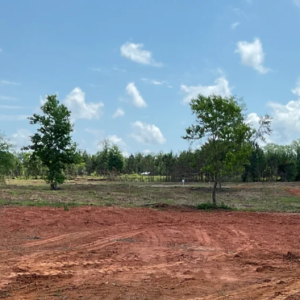 Discover a fantastic opportunity with this 1.3- surveyed acre residential property located in the charming town of Luverne, Alabama. This spacious lot comes equipped with essential utilities, including power and water, ensuring a hassle-free setup for your future home. With convenient road access, you’ll enjoy easy transportation and accessibility. Whether you envision a cozy mobile home or a custom-built residence, this move-in-ready property is the perfect canvas for your dream home!