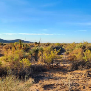 El Paso Texas .50 Acres with road access mineral and oil rights! Incredible 0.5-acre high-desert paradise! Nestled in a highly sought-after, unincorporated zone with absolutely no county zoning, zero HOA restrictions, and no building inspections, this parcel gives you 100% complete autonomy to shape your land exactly as you wish.