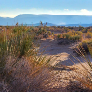El Paso Texas .50 Acres with road access mineral and oil rights! Incredible 0.5-acre high-desert paradise! Nestled in a highly sought-after, unincorporated zone with absolutely no county zoning, zero HOA restrictions, and no building inspections, this parcel gives you 100% complete autonomy to shape your land exactly as you wish.