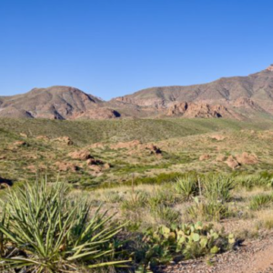 El Paso Texas .50 Acres with road access mineral and oil rights! Incredible 0.5-acre high-desert paradise! Nestled in a highly sought-after, unincorporated zone with absolutely no county zoning, zero HOA restrictions, and no building inspections, this parcel gives you 100% complete autonomy to shape your land exactly as you wish.
