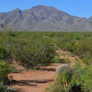 El Paso Texas .50 Acres with road access mineral and oil rights! Incredible 0.5-acre high-desert paradise! Nestled in a highly sought-after, unincorporated zone with absolutely no county zoning, zero HOA restrictions, and no building inspections, this parcel gives you 100% complete autonomy to shape your land exactly as you wish.