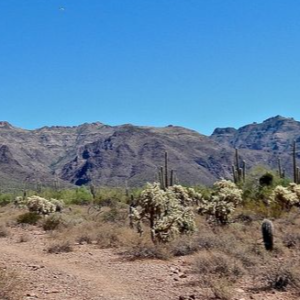 El Paso Texas .50 Acres with road access mineral and oil rights! Incredible 0.5-acre high-desert paradise! Nestled in a highly sought-after, unincorporated zone with absolutely no county zoning, zero HOA restrictions, and no building inspections, this parcel gives you 100% complete autonomy to shape your land exactly as you wish.