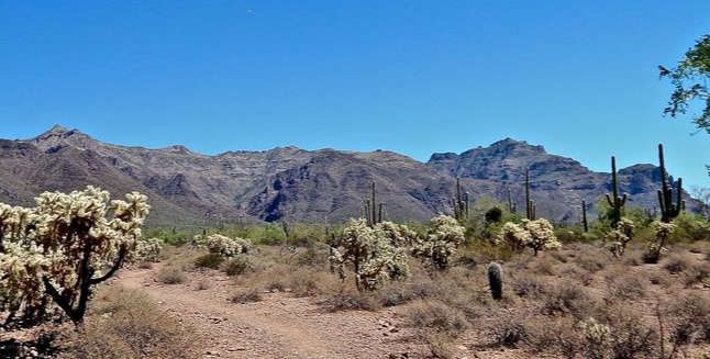 El Paso Texas .50 Acres with road access mineral and oil rights! Incredible 0.5-acre high-desert paradise! Nestled in a highly sought-after, unincorporated zone with absolutely no county zoning, zero HOA restrictions, and no building inspections, this parcel gives you 100% complete autonomy to shape your land exactly as you wish.