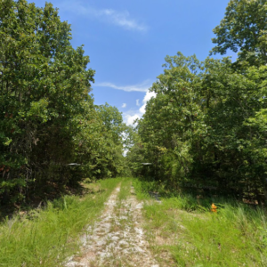 Discover an enticing .31-acre residential lot nestled near the serene shores of Lake Omaha, perfectly primed for constructing your dream home or placing a charming mobile home. Cherokee Village serves as an idyllic setting for your next adventure, offering a vibrant community surrounded by breathtaking landscapes.APN # 165-12682-000