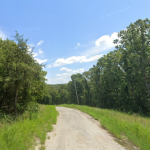 Discover an enticing .31-acre residential lot nestled near the serene shores of Lake Omaha, perfectly primed for constructing your dream home or placing a charming mobile home. Cherokee Village serves as an idyllic setting for your next adventure, offering a vibrant community surrounded by breathtaking landscapes.APN # 165-12682-000