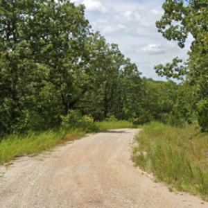 Discover a stunning 14,230 square foot residential lot situated near the serene Lake Omaha, ready for you to create your dream home or set up a cozy mobile home. Nestled in the picturesque community of Cherokee Village, this location serves as the perfect backdrop for your next adventure in the beautiful Arkansas Ozarks. APN #  	210-14119-000