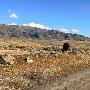 1.55 Acres with Power on the Property | Humboldt River Ranch | Breathtaking Mountain Views! APN: 010-543-12