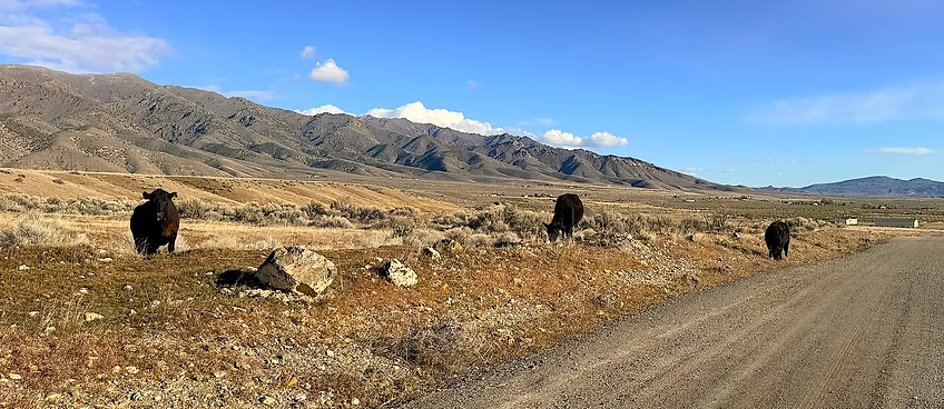 1.55 Acres with Power on the Property | Humboldt River Ranch | Breathtaking Mountain Views! APN: 010-543-12
