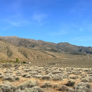 Welcome to Fallon Nevada (Churchill County) & 80 Acres surrounded by BLM Land! Amazing road access and your next home in Nevada! APN: 009-371-70
