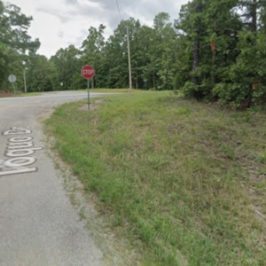 Corner Lot .30 acres residential lot situated near the serene Lake Omaha, ready for you to create your dream home or set up a cozy mobile home. Nestled in the picturesque community of Cherokee Village, this location serves as the perfect backdrop for your next adventure in the beautiful Arkansas Ozarks. APN #  170-12795-000