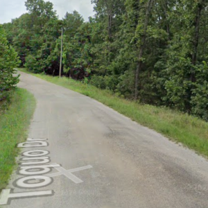 1 Acre Lot -Walk to the golf course!  Arkansas Property residential lot nestled near the serene shores of Lake Omaha, perfectly primed for constructing your dream home or placing a charming mobile home. Cherokee Village- Utilities at the property and road frontage: APN: 200-13838-000