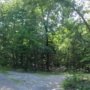 1 Acre-Arkansas -Property Highlights • Vacant lot near Lake Chanute • Approximately 15 minutes from Hardy, Arkansas * Power, Water & Road Frontage- APN:200-13838-000