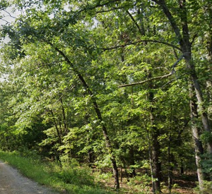 1 Acre-Arkansas -Property Highlights • Vacant lot near Lake Chanute • Approximately 15 minutes from Hardy, Arkansas * Power, Water & Road Frontage- APN:200-13838-000