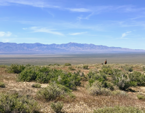 210 Acres in Pershing County, NV – Summit Spring / Buffalo Mountain, Surrounded by BLM, Road Access, Yearly Ponds and Creek