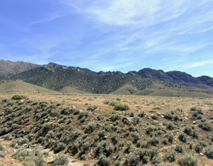 210 Acres in Pershing County, NV – Summit Spring / Buffalo Mountain, Surrounded by BLM, Road Access, Yearly Ponds and Creek