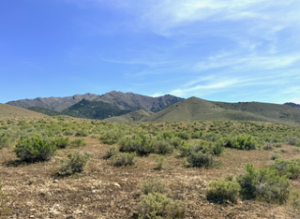 210 Acres in Pershing County, NV – Summit Spring / Buffalo Mountain, Surrounded by BLM, Road Access, Yearly Ponds and Creek