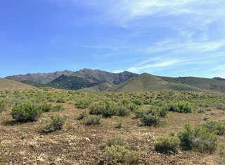 210 Acres in Pershing County, NV – Summit Spring / Buffalo Mountain, Surrounded by BLM, Road Access, Yearly Ponds and Creek