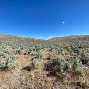 Looking for Freedom Living? Discover the wide-open spaces you've been dreaming of with this 14-acre property in beautiful Eureka, Nevada. Enjoy easy road access, breathtaking mountain and valley views, and the peace and privacy that only rural Nevada can offer. APN: 005-300-01