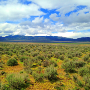 Welcome to Fallon Nevada (Churchill County) & 80 Acres surrounded by BLM Land! Amazing road access and your next home in Nevada! APN: 009-371-70