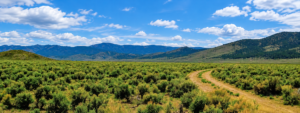 46 Acres! Surveyed! Welcome to your own private frontier in the heart of Pershing County! Nestled against the rugged foothills of the spectacular Trinity Range, this 46.14-acre surveyed ranch offers an extraordinary opportunity to own a piece of Nevada's legendary landscape APN: 002-330-10