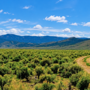 46 Acres! Surveyed! Welcome to your own private frontier in the heart of Pershing County! Nestled against the rugged foothills of the spectacular Trinity Range, this 46.14-acre surveyed ranch offers an extraordinary opportunity to own a piece of Nevada's legendary landscape APN: 002-330-10