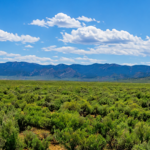 46 Acres! Surveyed! Welcome to your own private frontier in the heart of Pershing County! Nestled against the rugged foothills of the spectacular Trinity Range, this 46.14-acre surveyed ranch offers an extraordinary opportunity to own a piece of Nevada's legendary landscape APN: 002-330-10