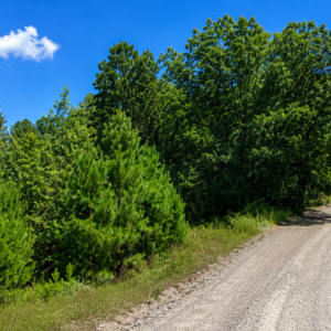 Deposit $200.00 and monthly payment $100.00 terms - Arkansas Residential Property & Appraised for $2,500.00 - Van Buren County — Flat Lot, Ready to Build, Power & Water APN: 4400-22295-0000
