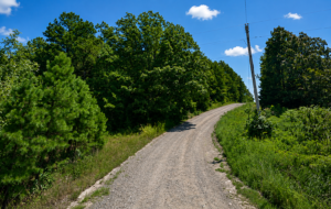 Deposit $200.00 and monthly payment $100.00 terms - Arkansas Residential Property & Appraised for $2,500.00 - Van Buren County — Flat Lot, Ready to Build, Power & Water APN: 4400-22295-0000