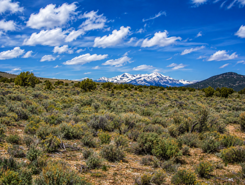 Welcome to your own private frontier 43.18 acres in the heart of Pershing County! Nestled against the rugged foothills of the spectacular Trinity Range, this 43-acre surveyed ranch offers an extraordinary opportunity to own a piece of Nevada's legendary landscape: APN: 002-330-10