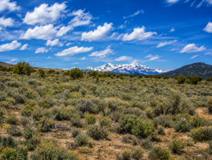 Welcome to your own private frontier 43.18 acres in the heart of Pershing County! Nestled against the rugged foothills of the spectacular Trinity Range, this 43-acre surveyed ranch offers an extraordinary opportunity to own a piece of Nevada's legendary landscape: APN: 002-330-10