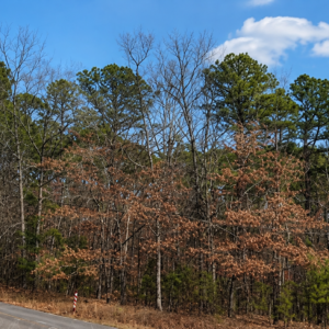 Arkansas Residential Property –   Greers Ferry Lake*  Van Buren County — Flat Lot, Ready to Build, Power & Water, Close to the Lake APN: 4400-10134-0000