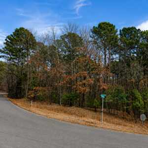 Arkansas Residential Property –   Greers Ferry Lake*  Van Buren County — Flat Lot, Ready to Build, Power & Water, Close to the Lake APN: 4400-10134-0000