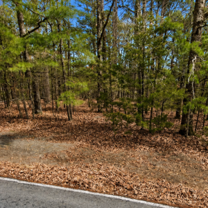 Enjoy Life on this Little Red River Property! – Van Buren County — Flat Lot, Ready to Build, Power & Water, Close to Little Red River Lake ! APN: 4400-02085-0000