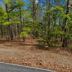 Enjoy Life on this Little Red River Property! – Van Buren County — Flat Lot, Ready to Build, Power & Water, Close to Little Red River Lake ! APN: 4400-02085-0000