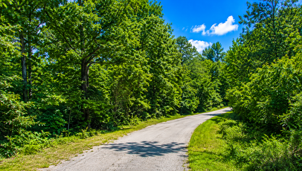 3/4 Corner Acre Property in Lake Chanute • Arkansas * Power, Water & Road Frontage- APN:  130-11308-000