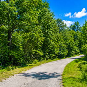 3/4 Corner Acre Property in Lake Chanute • Arkansas * Power, Water & Road Frontage- APN:  130-11308-000