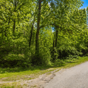 3/4 Corner Acre Property in Lake Chanute • Arkansas * Power, Water & Road Frontage- APN:  130-11308-000