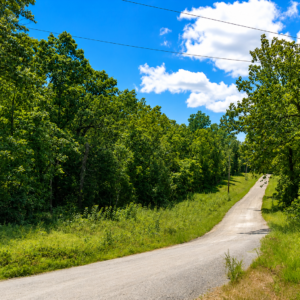 1 acre residential lot nestled near Hwy 175 and the serene shores of Lake Omaha, perfectly primed for constructing your dream home or placing a charming mobile home. Cherokee Village- Utilities at the property and road frontage: APN: 270-16380-000