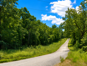 1 acre residential lot nestled near Hwy 175 and the serene shores of Lake Omaha, perfectly primed for constructing your dream home or placing a charming mobile home. Cherokee Village- Utilities at the property and road frontage: APN: 270-16380-000