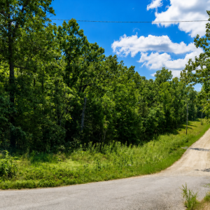 Discover an enticing Arkansas Residential Lot  & Walk to the Lake Thunderbird -A residential lot nestled near the serene shores of Lake Omaha, perfectly primed for constructing your dream home or placing a charming mobile home. Cherokee Village- Utilities at the property and road frontage: APN: 335-18623-000