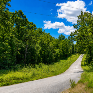 1 acre residential lot nestled near Hwy 175 and the serene shores of Lake Omaha, perfectly primed for constructing your dream home or placing a charming mobile home. Cherokee Village- Utilities at the property and road frontage: APN: 270-16380-000