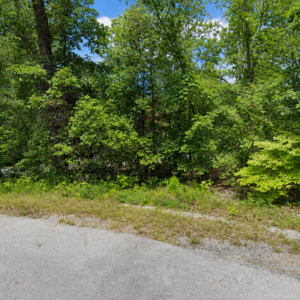 Discover an enticing Arkansas Residential Lot  & Walk to the Lake Thunderbird -A residential lot nestled near the serene shores of Lake Omaha, perfectly primed for constructing your dream home or placing a charming mobile home. Cherokee Village- Utilities at the property and road frontage: APN: 335-18623-000