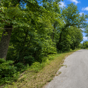 Discover an enticing Arkansas Residential Lot  & Walk to the Lake Thunderbird -A residential lot nestled near the serene shores of Lake Omaha, perfectly primed for constructing your dream home or placing a charming mobile home. Cherokee Village- Utilities at the property and road frontage: APN: 335-18623-000