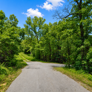 Discover an enticing Arkansas Residential Lot  & Walk to the Lake Thunderbird -A residential lot nestled near the serene shores of Lake Omaha, perfectly primed for constructing your dream home or placing a charming mobile home. Cherokee Village- Utilities at the property and road frontage: APN: 335-18623-000