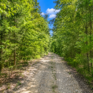 1.34 acre residential lot nestled near Hwy 175 and the serene shores of Lake Omaha, perfectly primed for constructing your dream home or placing a charming mobile home. Cherokee Village- Utilities at the property and road frontage: APN: 390-20828-000